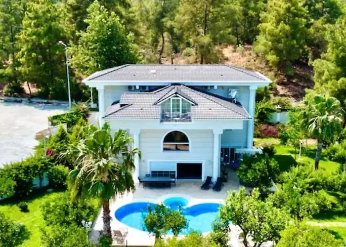 Ark Mansion Erler