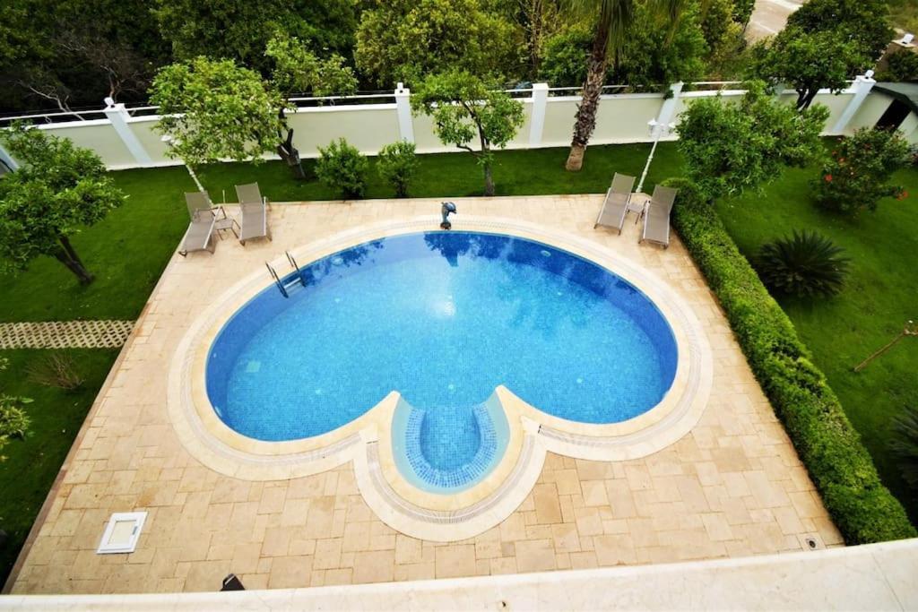 Villa Ark Mansion Erler *